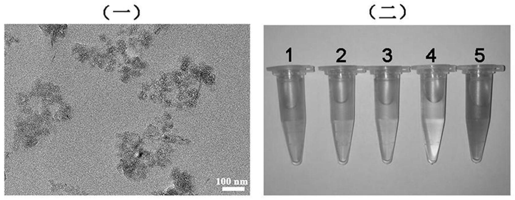 一种二氧化锰基纳米药物载体及其制备方法和应用
